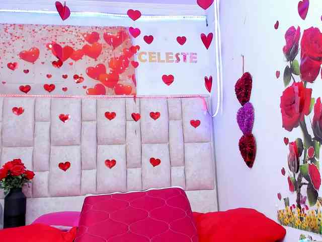 Celeste-Linco webcam