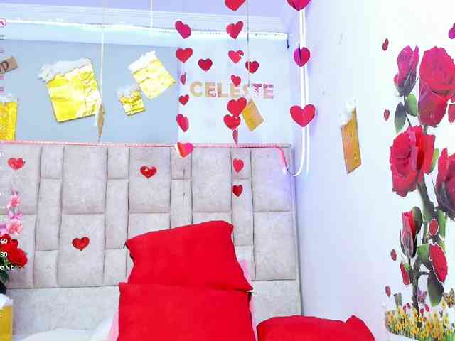 Celeste-Linco webcam