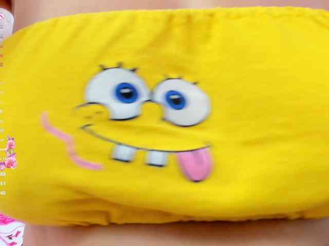 Celeste-Linco webcam