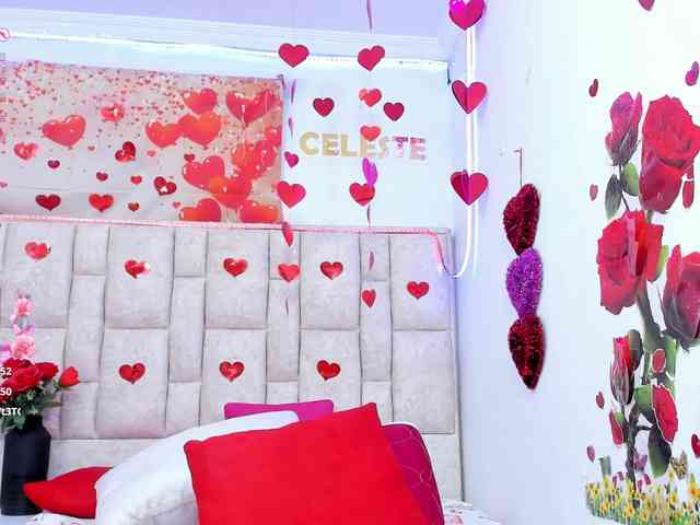 Celeste-Linco webcam