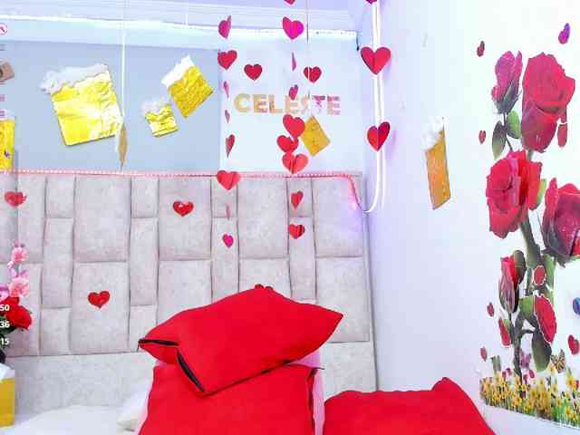 Celeste-Linco webcam