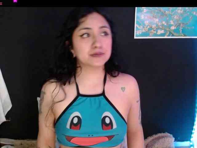 AbsentaVert webcam