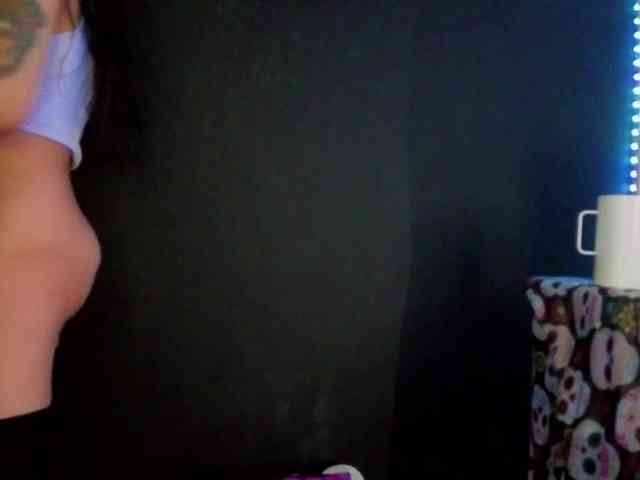 AbsentaVert webcam
