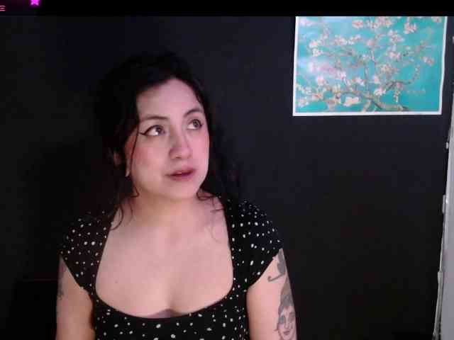 AbsentaVert webcam