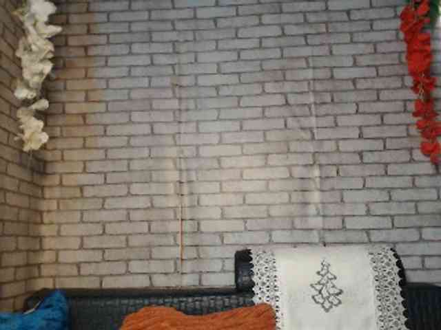 BELLAH001 webcam