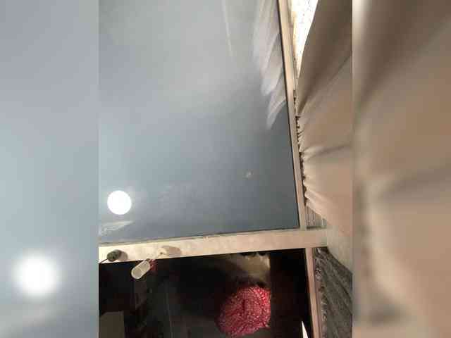 deva_maria webcam