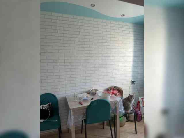 -BuSiNkA webcam