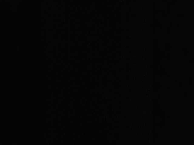 leila17 live webcam show