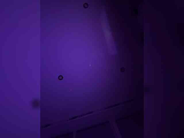 leila17 webcam