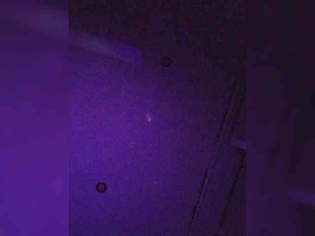 leila17 webcam