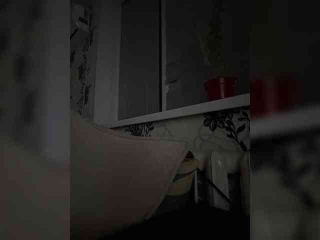 leila17 webcam