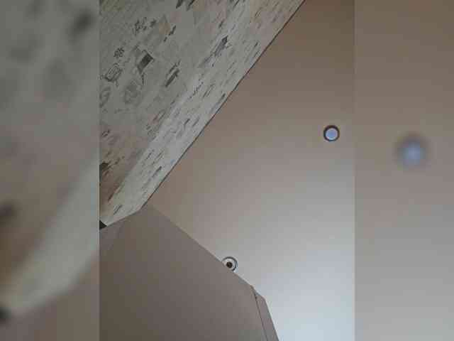 leila17 webcam