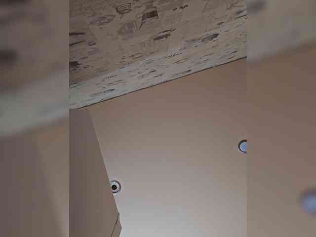leila17 webcam