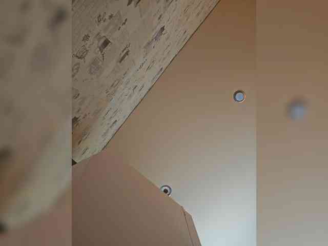 leila17 webcam