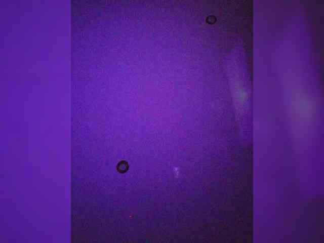 leila17 webcam