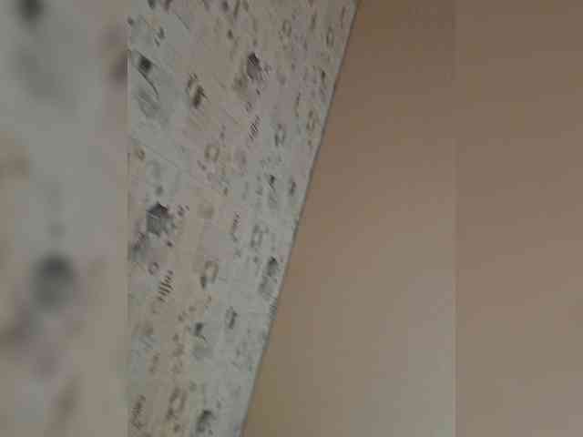leila17 webcam