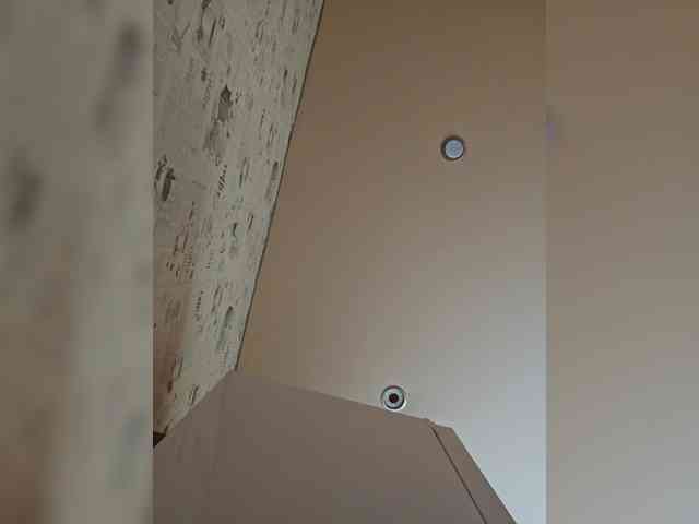 leila17 webcam