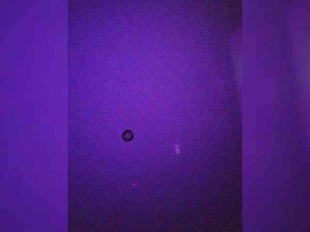 leila17 webcam