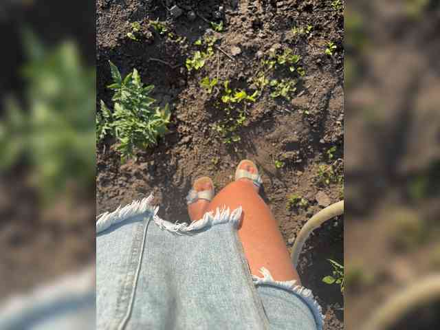 leila17 Sex Cam Show