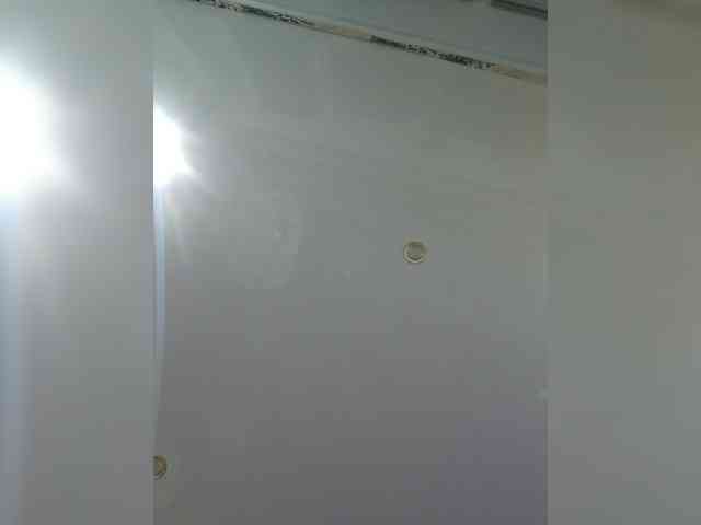 leila17 webcam