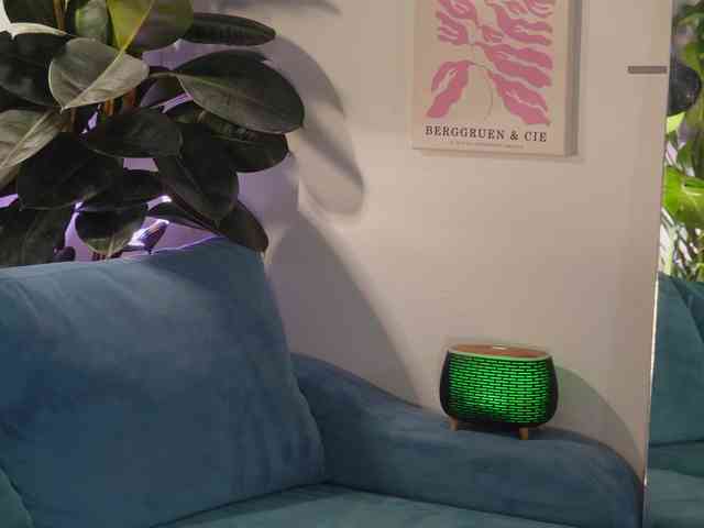 Li_Berry webcam