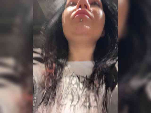 Модель: LiLCaTt