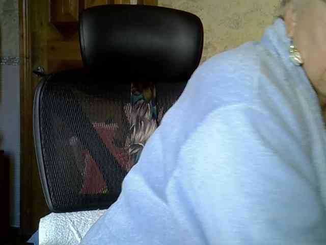 SweetCherry00 webcam