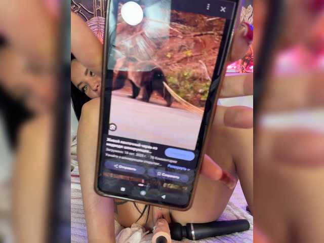 Live трансляция Madam_koss - slutnetki.online