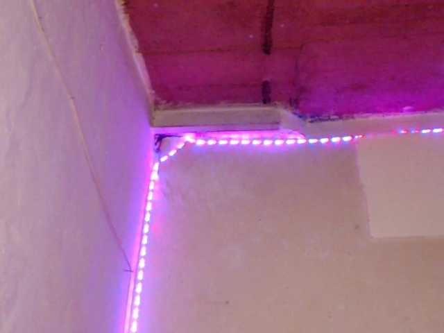 Cherryu live cam on BongaCams