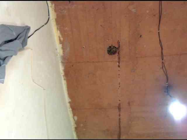 Cherryu webcam