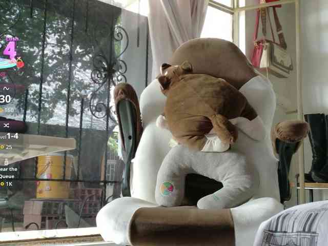 cataleya35 webcam