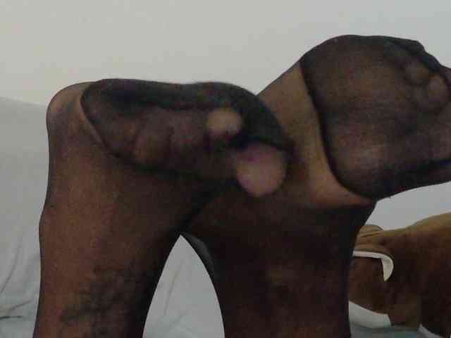 cataleya35 webcam