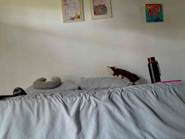 cataleya35 webcam