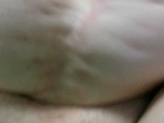 Preview of korolek50