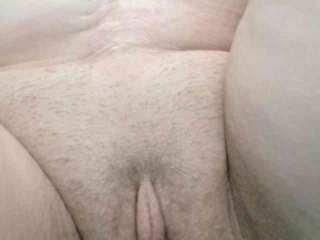 korolek50 webcam