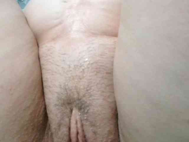 korolek50 webcam