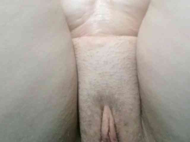 korolek50 webcam