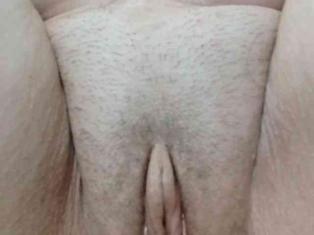 korolek50 webcam