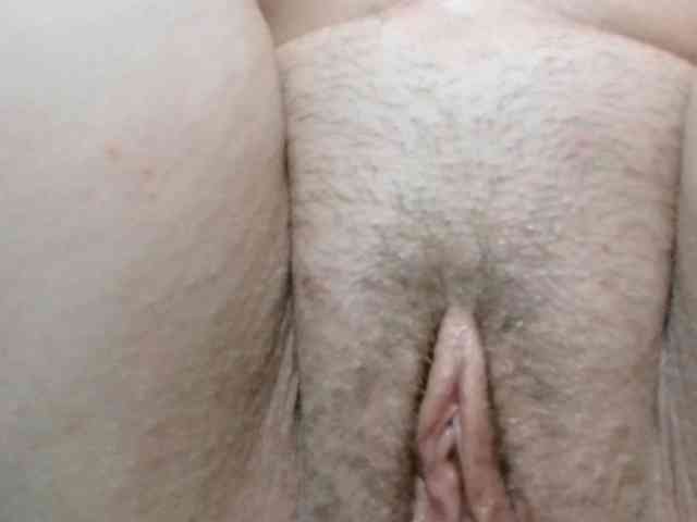 korolek50 webcam