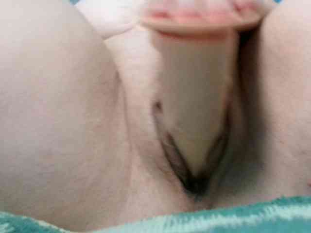 korolek50 webcam