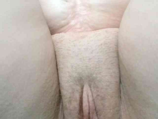 korolek50 webcam