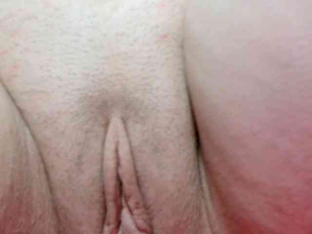 korolek50 webcam