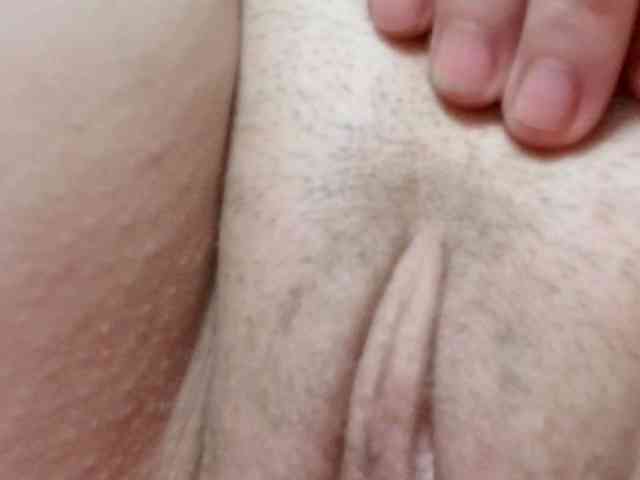 korolek50 webcam