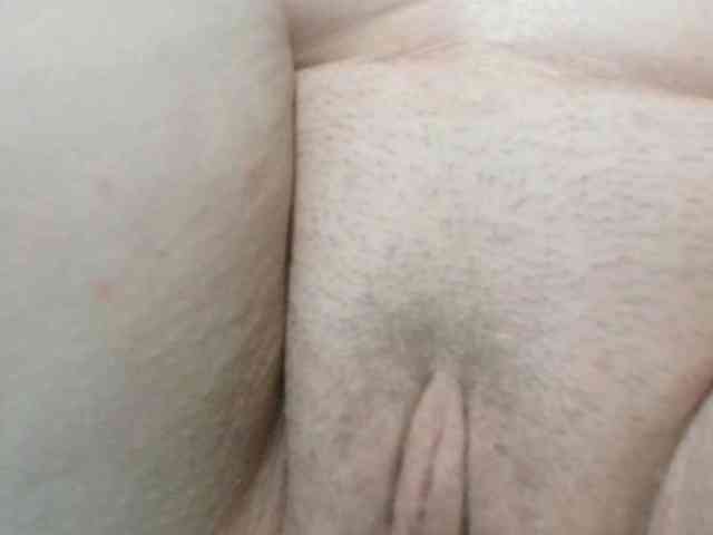 korolek50 webcam