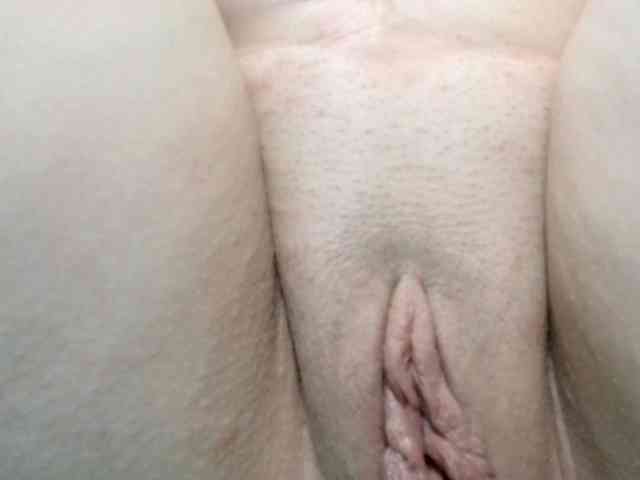 korolek50 webcam