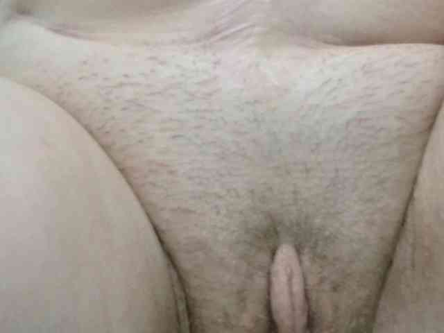 korolek50 webcam