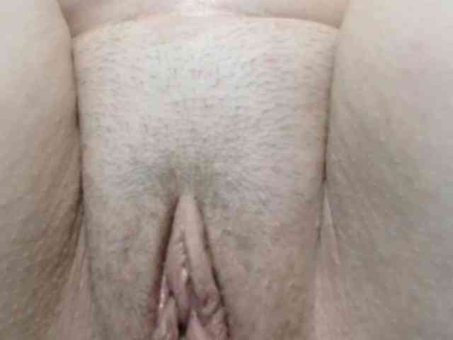 korolek50 webcam