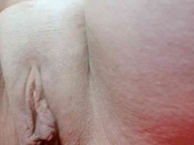 korolek50 webcam