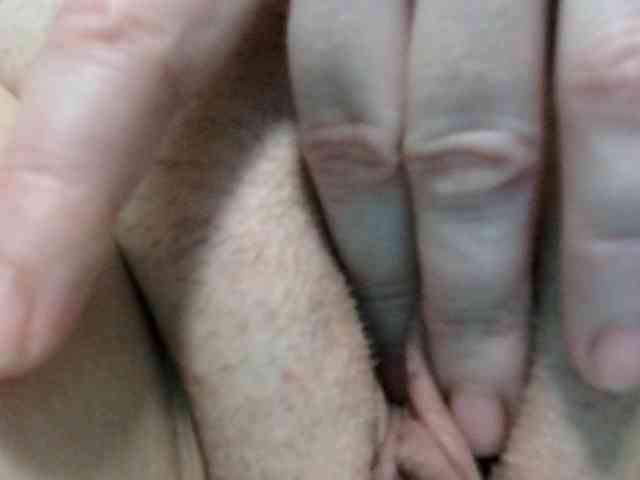 korolek50 webcam