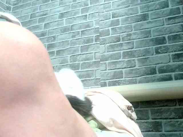 korolek50 webcam